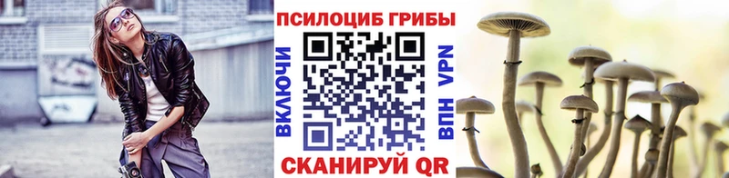 Галлюциногенные грибы Psilocybe  Купить закладки  Среднеколымск 